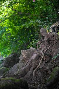 BIB: 
                            <button type="button" onclick="openModal(13662146)" class="btn btn-primary btn-sm float-right btn-popup" data-toggle="modal" data-target=".modal-high-quality">
                        <i class="fas fa-shopping-cart"></i> Add to Cart
                    </button>
                                            <button type="button" onclick="isThisMe(13662146, true)" class="btn btn-success btn-sm float-right btn-popup btn-isme hidden" data-toggle="tooltip" data-placement="bottom" title="นี่คือรูปของคุณใช่ไหม คลิกที่นี่เพื่อเอาเข้าอัลบั้ม">
                        <i class="fas fa-plus"></i> Add to album
                    </button>
                    <button type="button" onclick="isThisMe(13662146, false)" class="btn btn-warning btn-sm float-right btn-popup btn-isnotme hidden">
                        <i class="fas fa-ban"></i> Remove from album
                    </button>